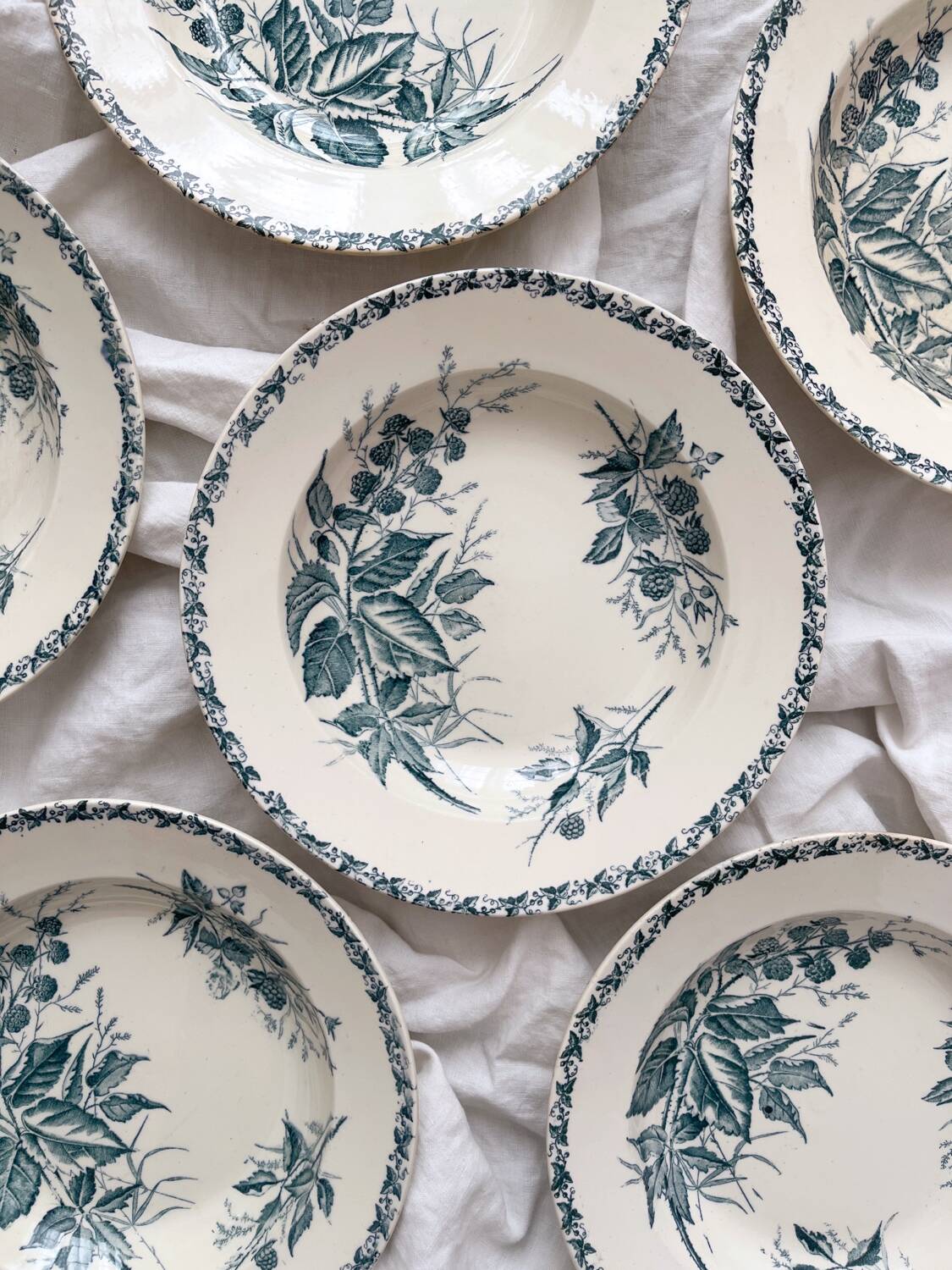 6 ironstone soup plates “Mûre” Badonviller