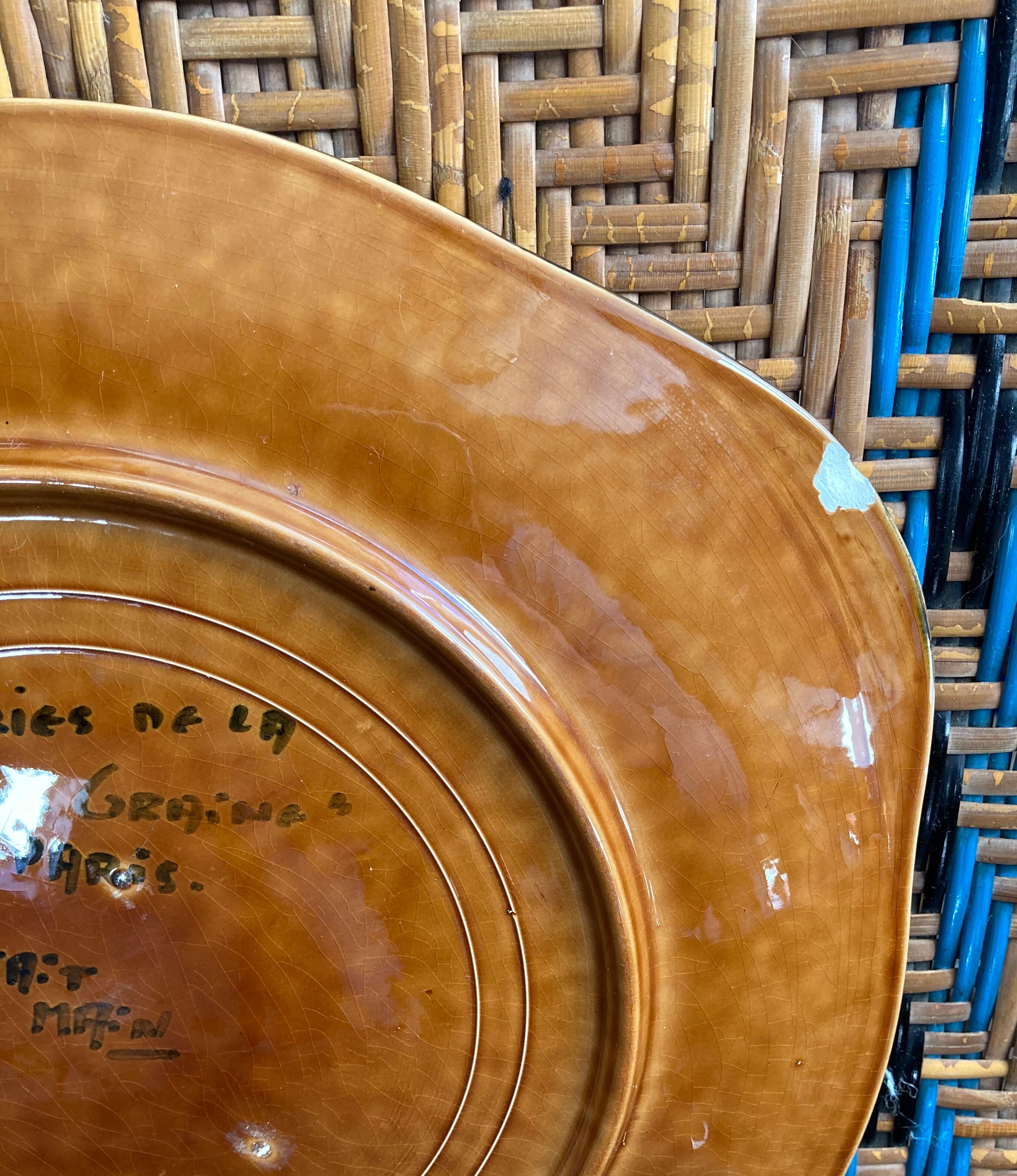 Large dish good seed