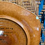 Large dish good seed