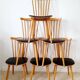 6 chaises Sonate 842 de Baumann, 1960
