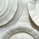 12 Vintage Terre de Fer White Plates + Small Gold White Porcelain Plates LIMOGES