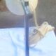 Lampe de bureau 70