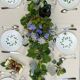 Antique dinner plates Saint Amand Ceranord, Bourrasque