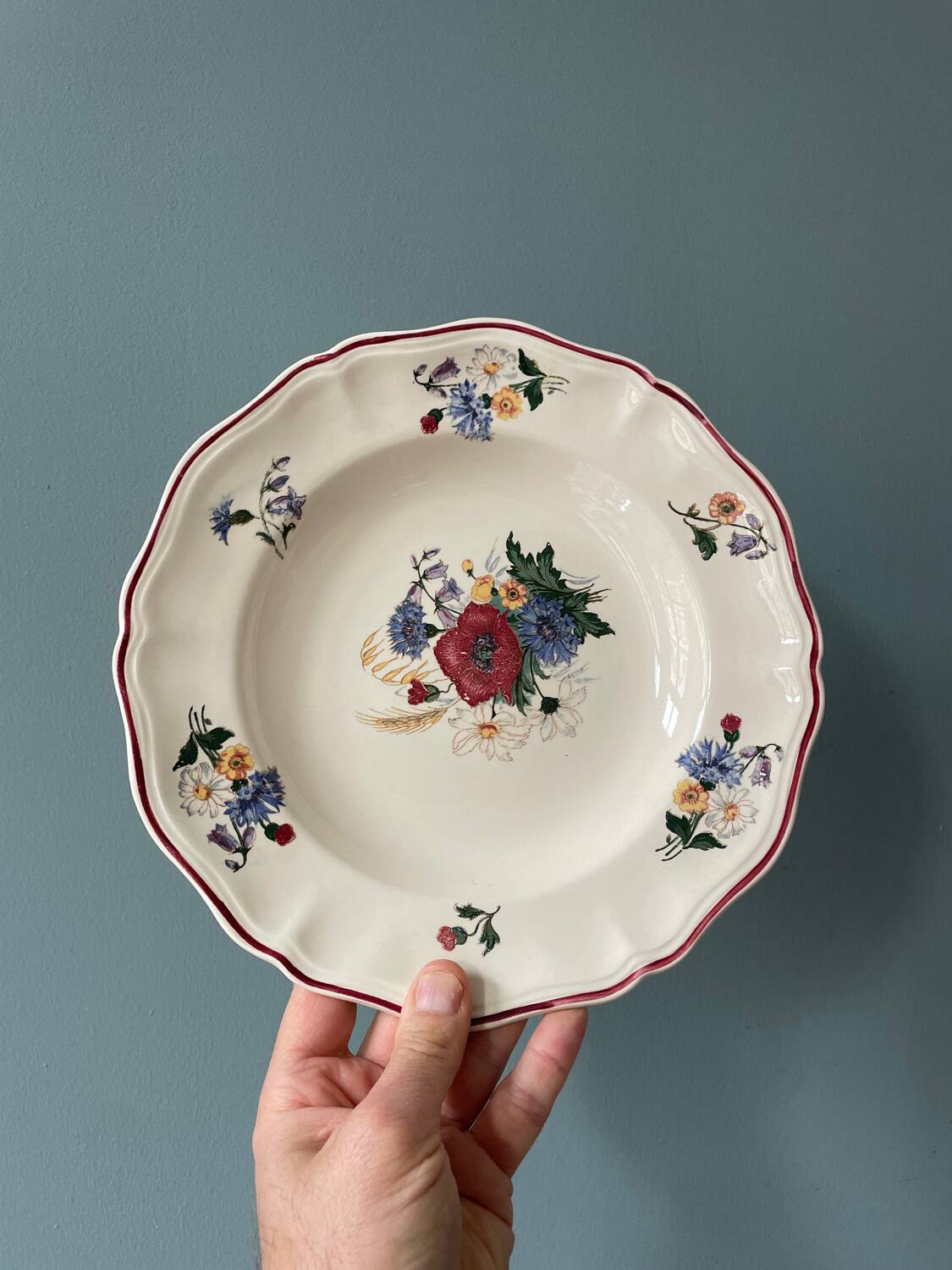 Series of 9 Sarreguemines France soup plates, Agreste collection