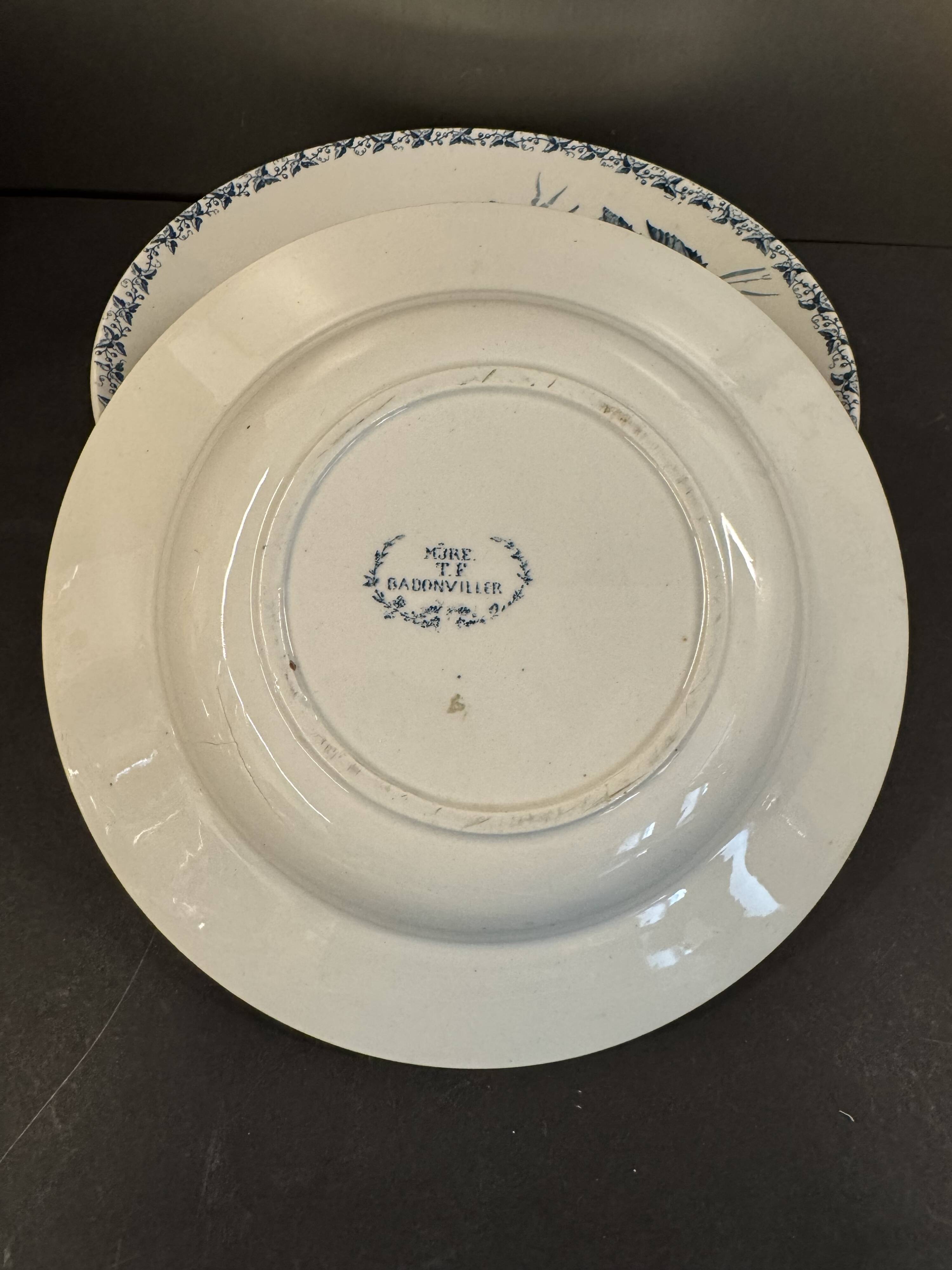 6 deep plates in ironstone "Mûre" Badonviller