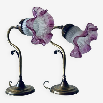 Pair of swan neck lamps