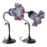 Pair of swan neck lamps