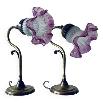 Pair of swan neck lamps