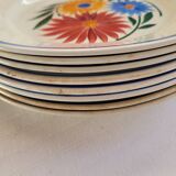 Dinner plates