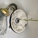 Pair brass wall lamps and holophane glass tulips porcelain rosette