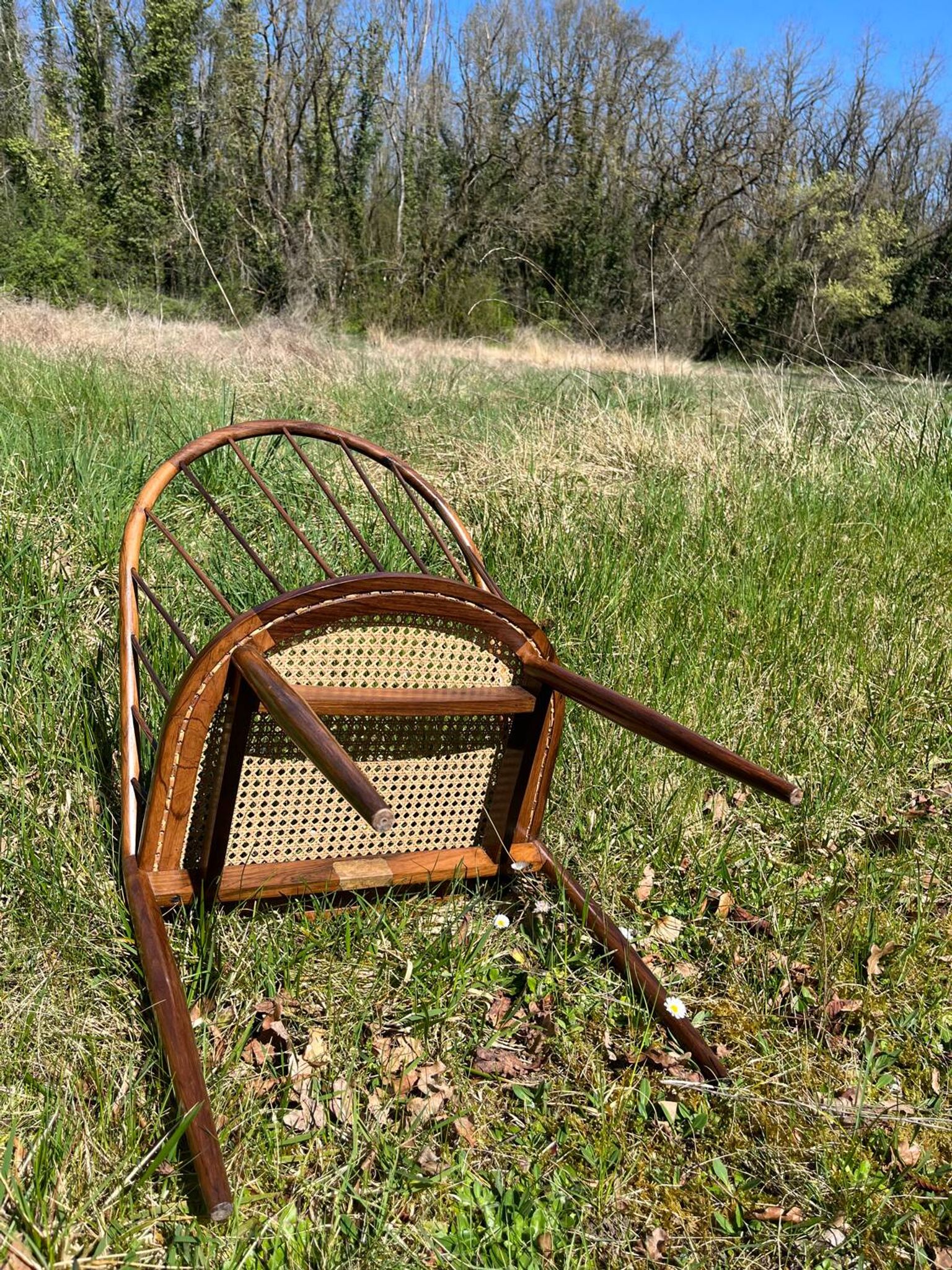 Chaise Curva Joaquim Tenreiro