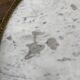 Table basse bouillotte de style Louis XVI en bois des années 1960/70