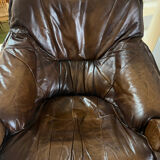1960s Sofa and 2 Armchairs Set in Wood and Leather