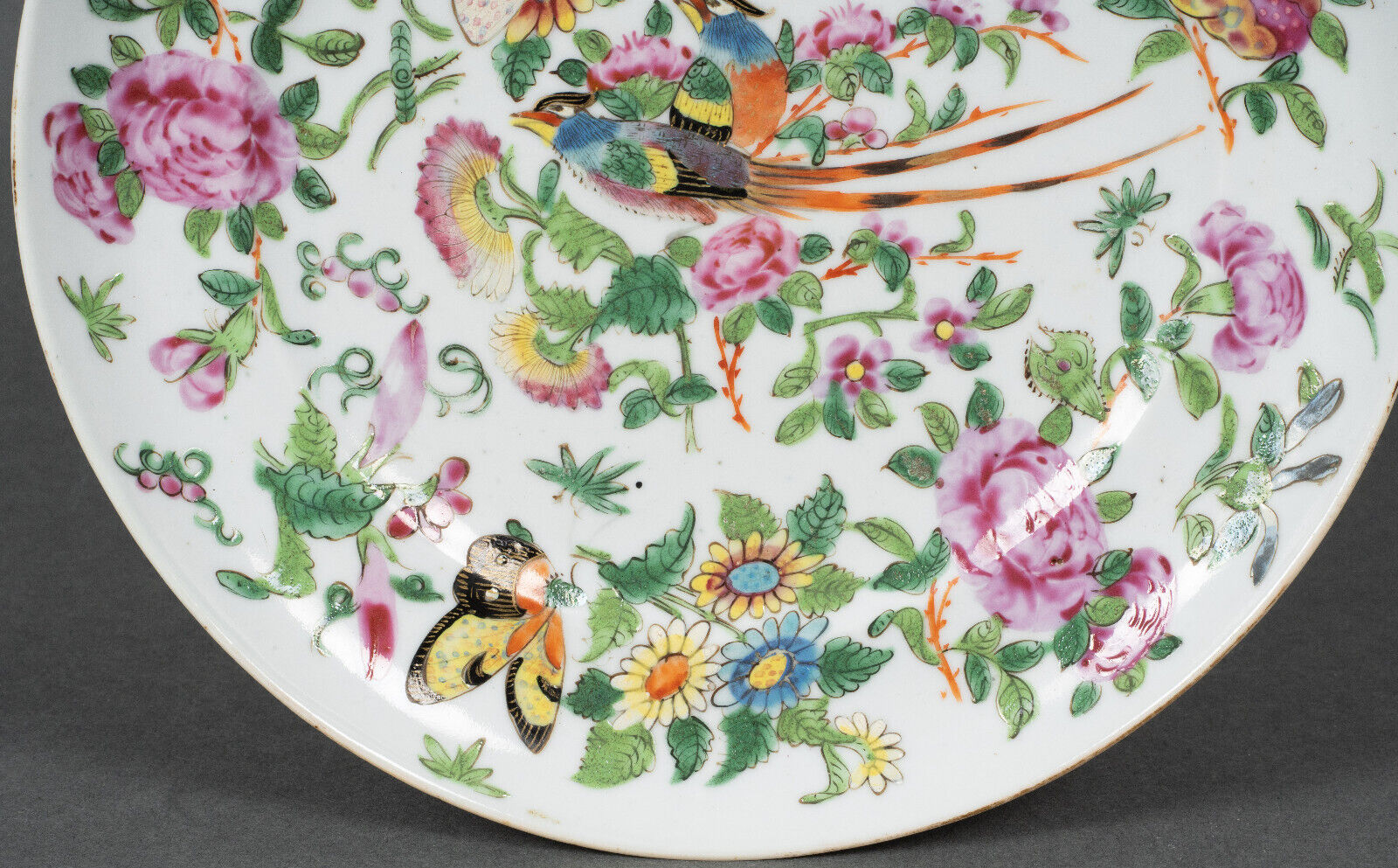 Porcelain plate of Canton XIXth decoration of butterflies and bird