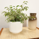 Vintage white flower pot with relief