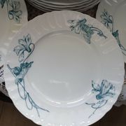 12 assiettes plates anciennes en Terre de fer 