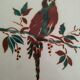 Dessous de plat vintage décor de perroquet