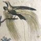 Pair of zoological engravings of birds by Fournier and Perrot, 19th century.