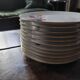 P.L. France porcelain dinner plates with roses — 1950s-60s
