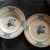 Set of 2 plates