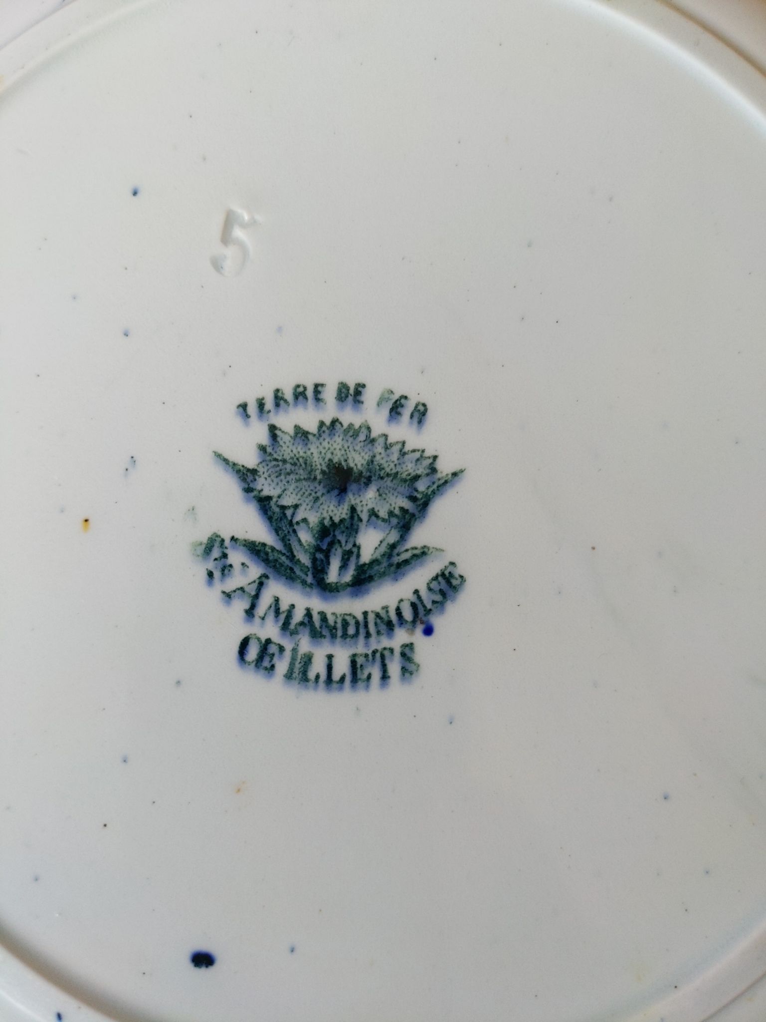 Plate old porcelain iron earth saint Amandinoise carnations
