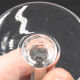 6 glasses of crystal wine saint louis model chantilly H 14 cm signed
