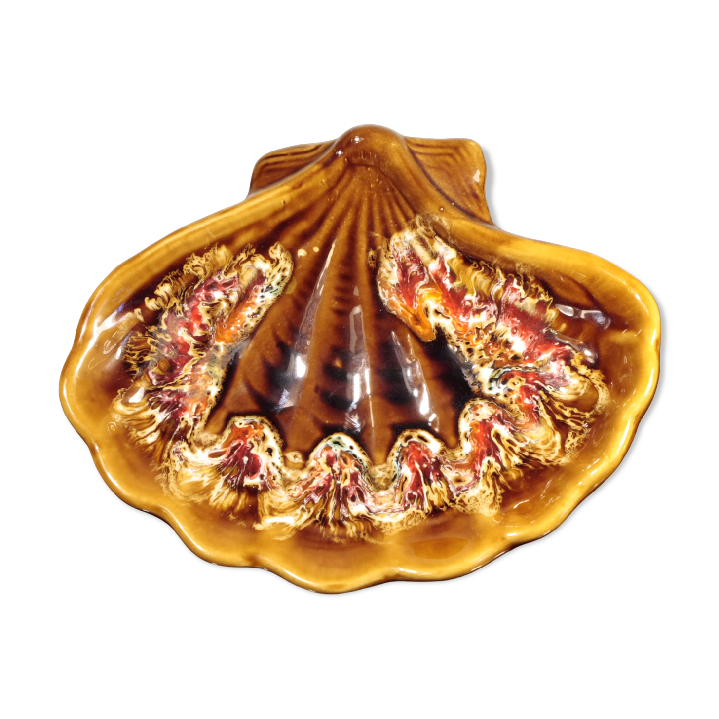 Vallauris coquillage