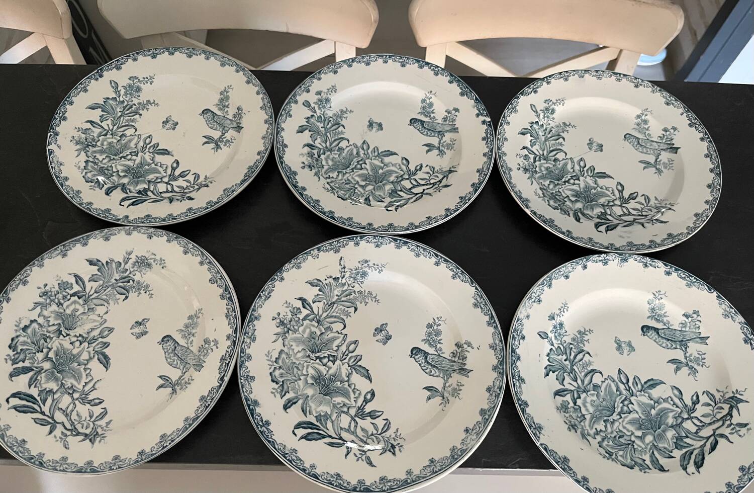 Léon Graves iron earth plates