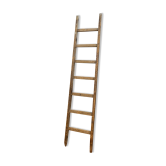 Ancient scale