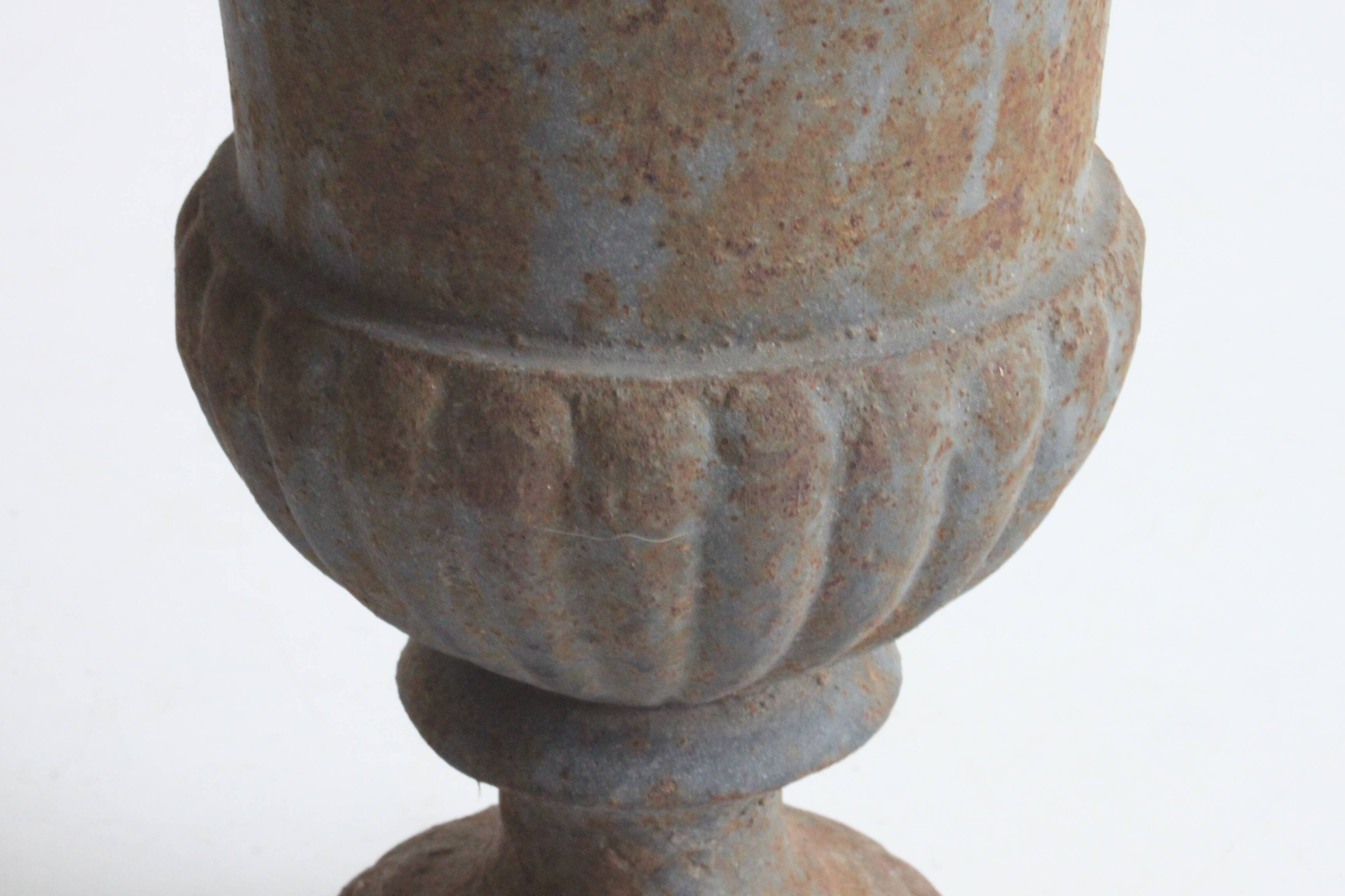 Cast iron campana urn, belle epoque