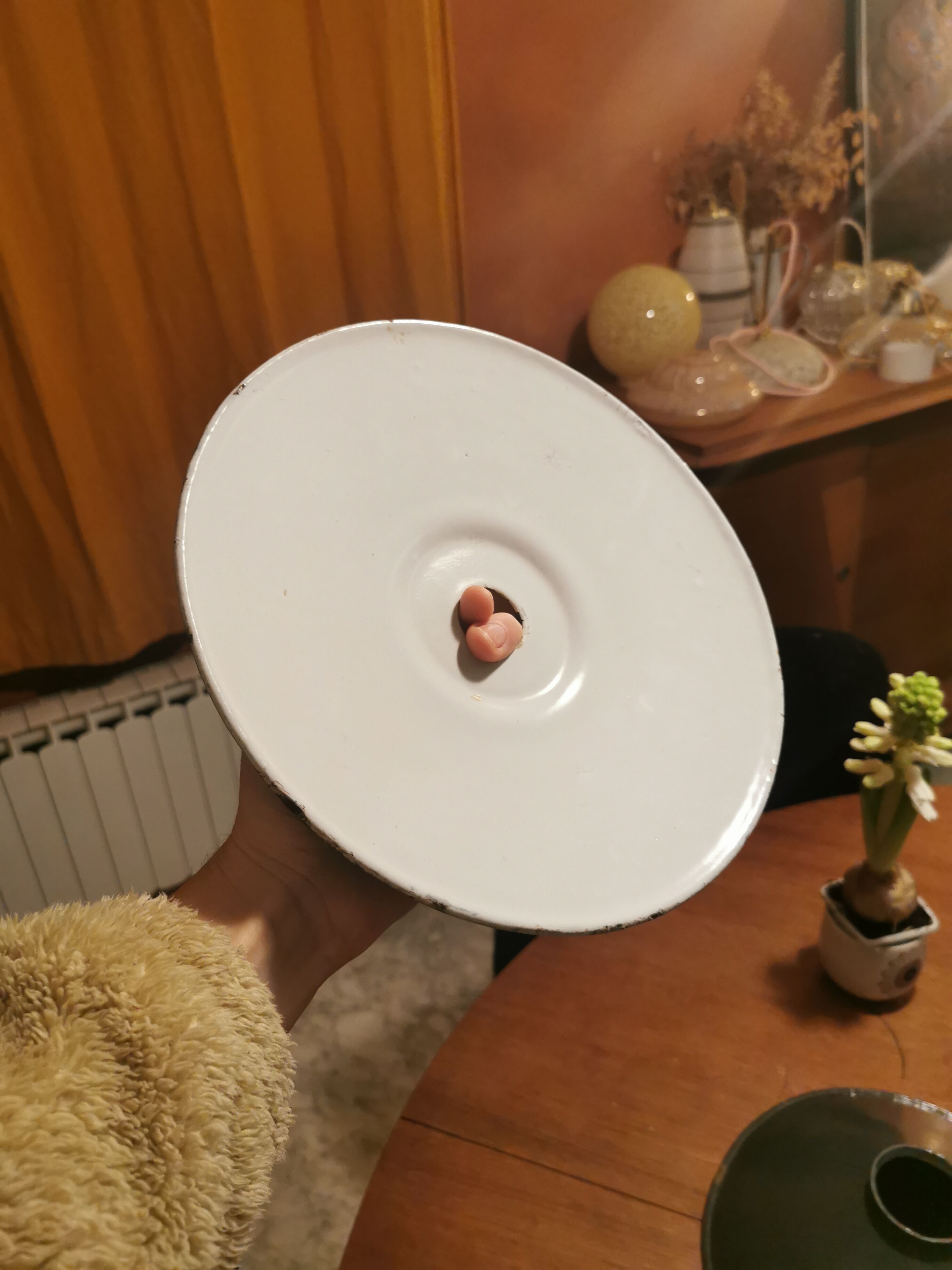 Green suspension in enamelled sheet metal