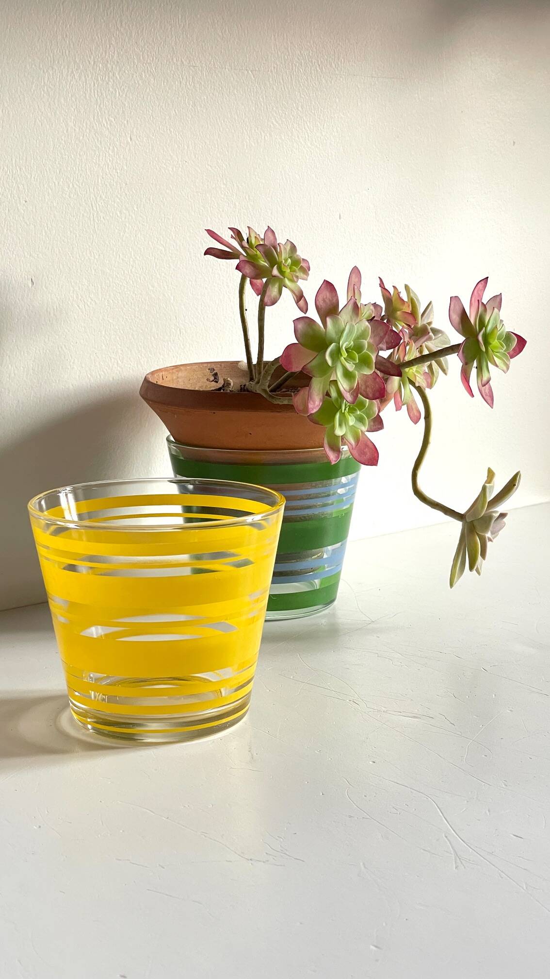Pair of VINTAGE Silkscreened Glass Plant Pots