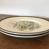 Lot 2 assiettes Pagnossin