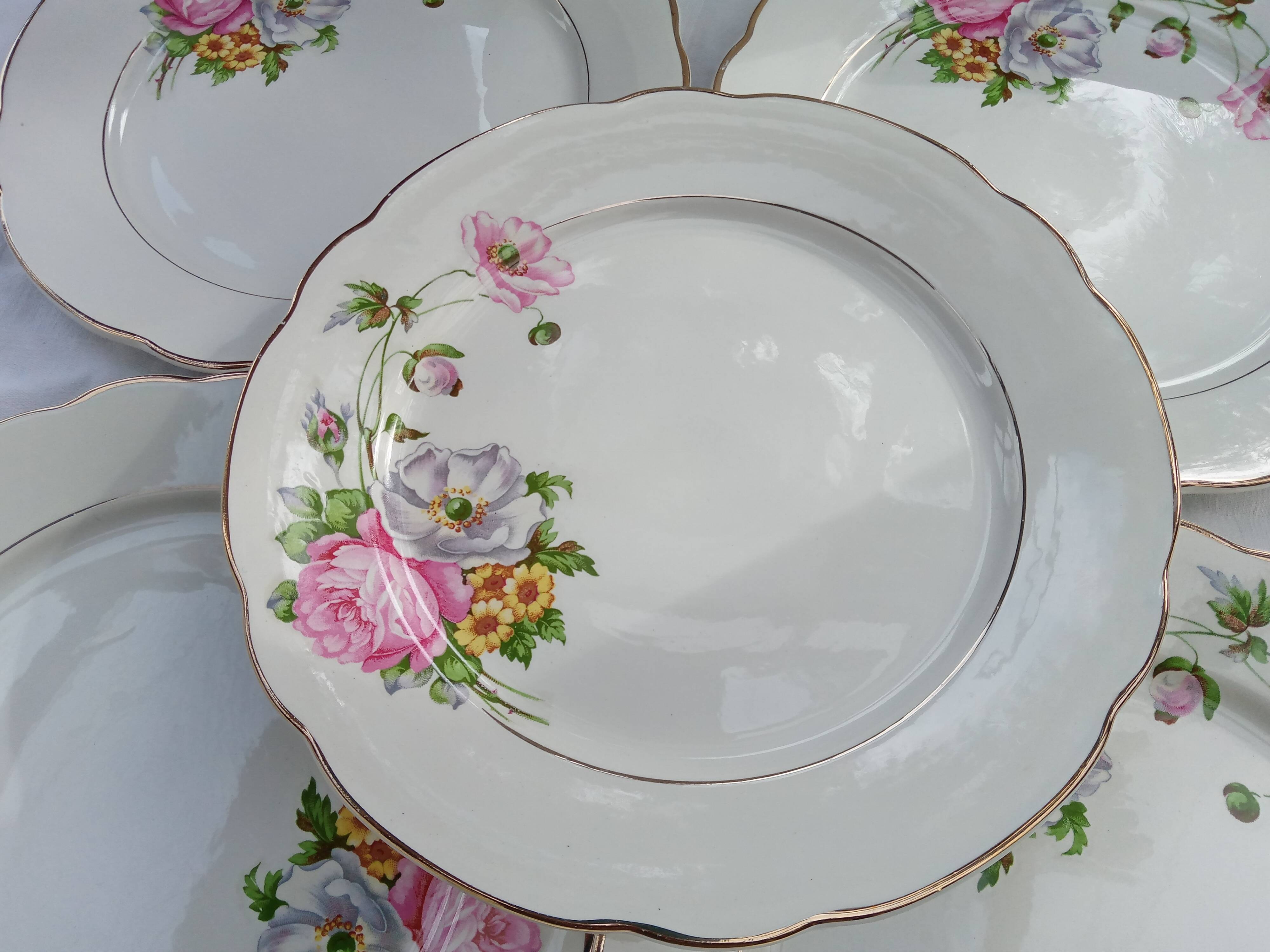 6 Anemone / Digoin flat plates