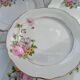 6 Anemone / Digoin flat plates