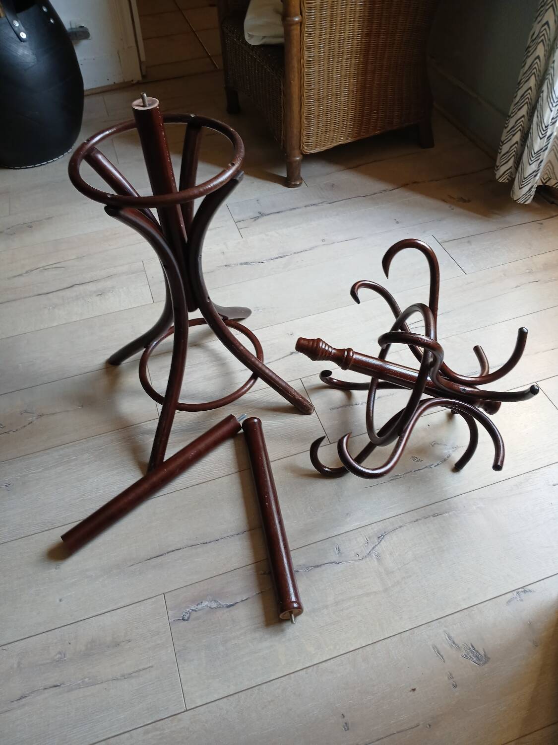 Porte manteau perroquet