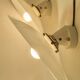 Pair of wall sconces