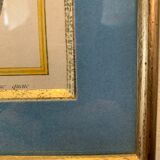 Set of 7 bird engravings