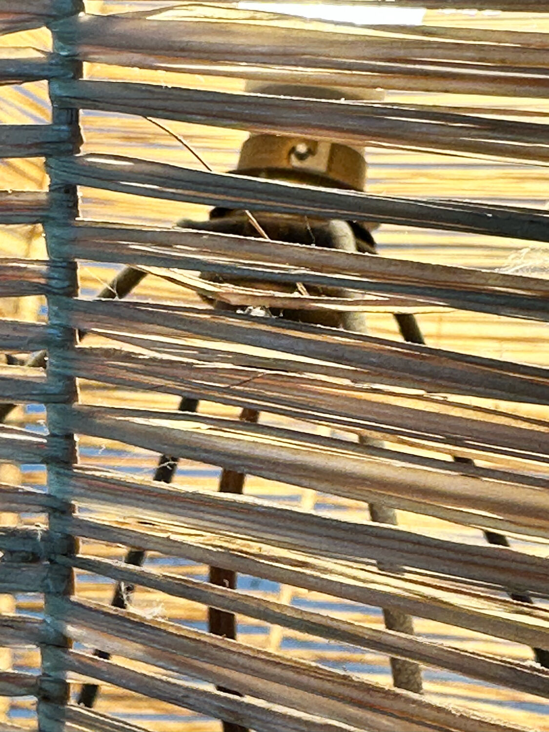 Table lamp in metal and raffia, 50s design