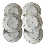 Set of 6 vintage dessert plates