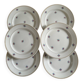 Lot de 6 assiettes à dessert vintage