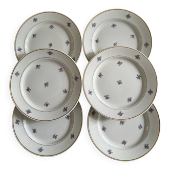 Lot de 6 assiettes à dessert vintage