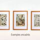 Old engraving 1898, Mollusk, shell, fish • Lithograph, original illustration