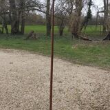 standing umbrella