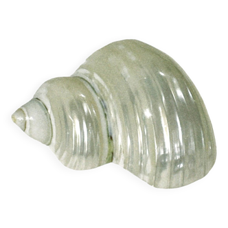Mother-of-pearl shell