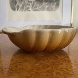 Shell saucer