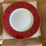 Lot 6 plates Guy Degrenne