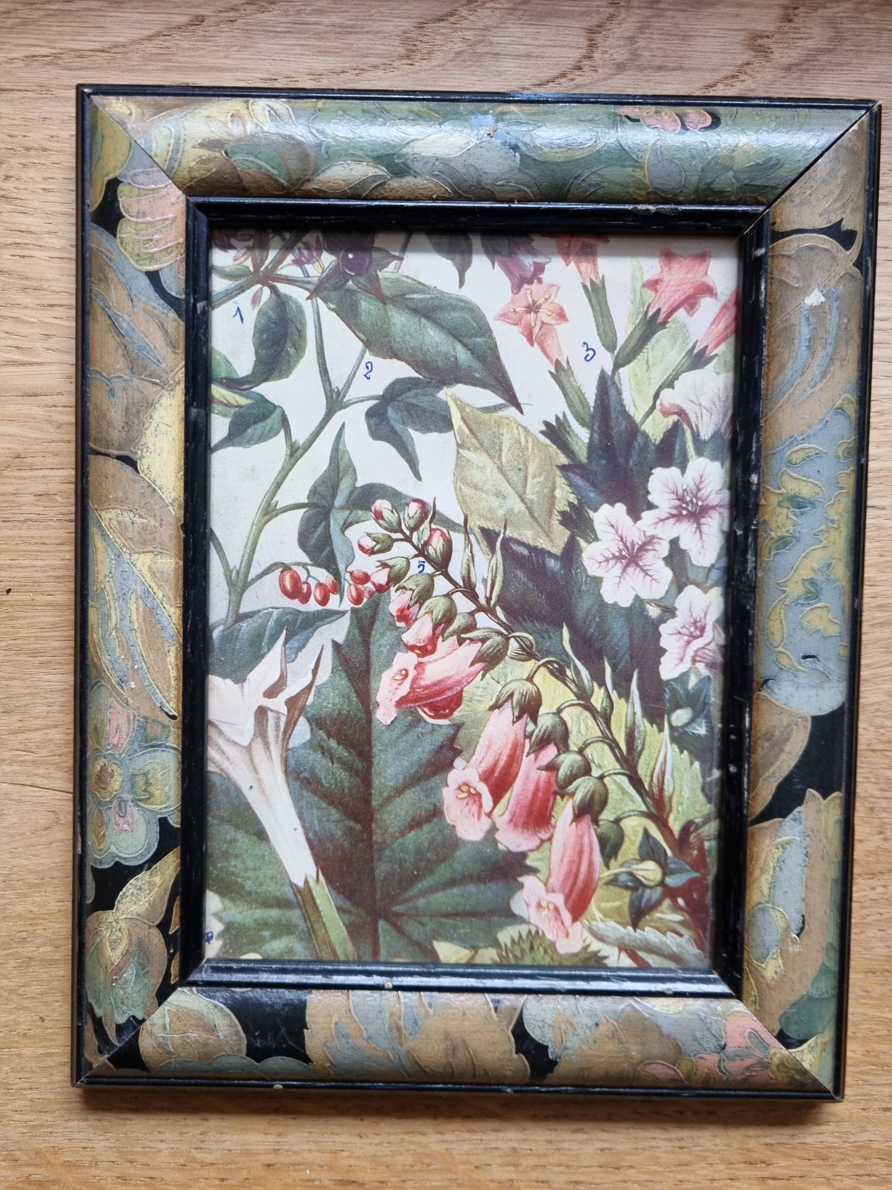 Paire de cadres art deco plantes médicinales
