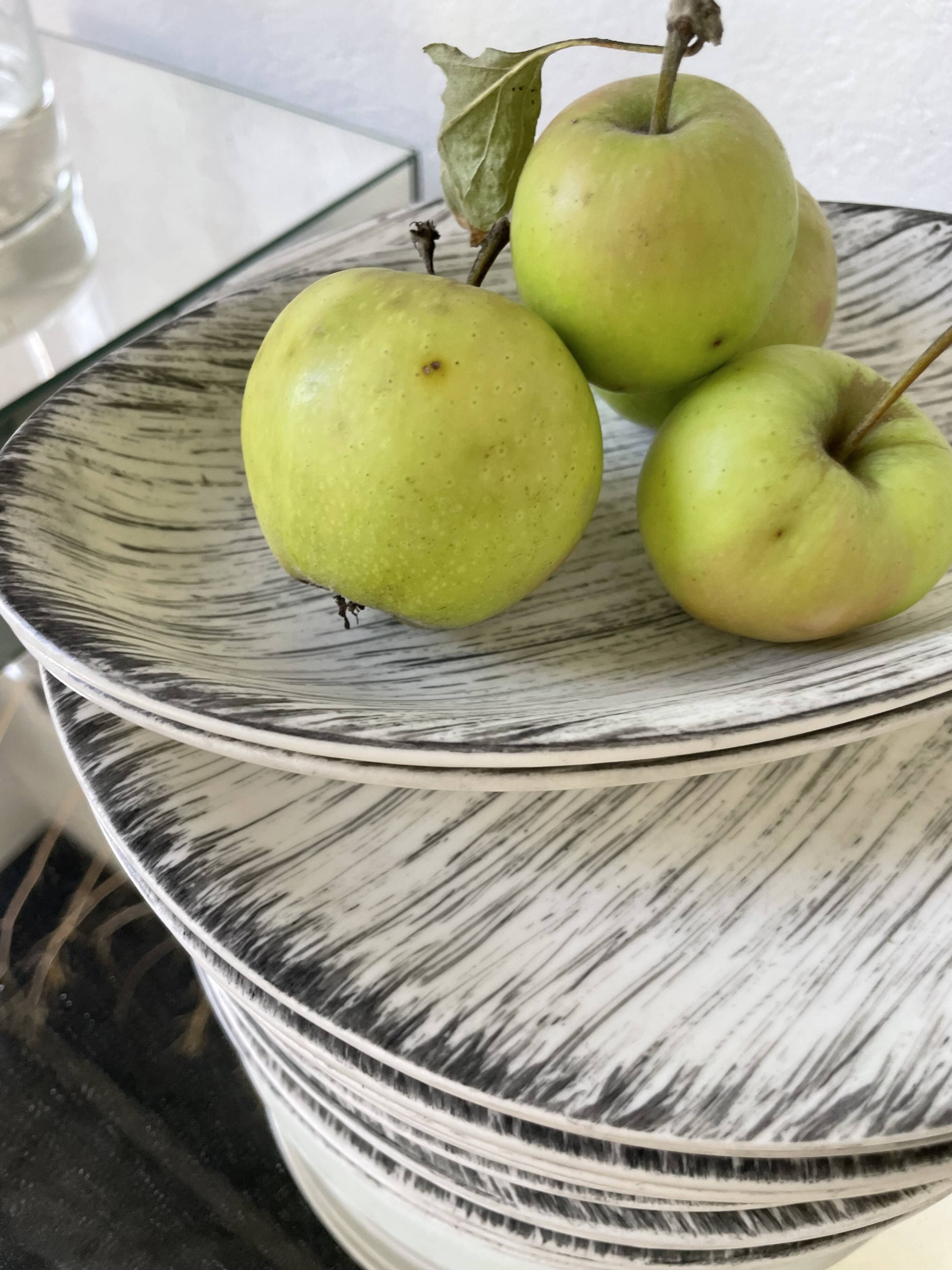 Set of plates and dishes Bazas de Salins 1960