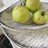 Ensemble assiettes et plats Bazas de Salins 1960